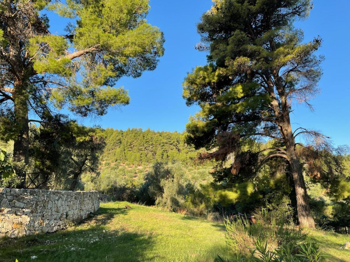 ויאסטה Novecento Country House מראה חיצוני תמונה