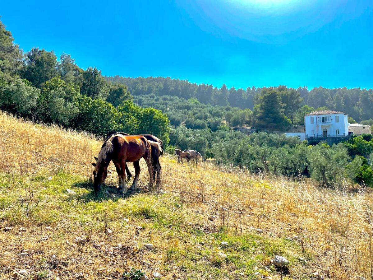 ויאסטה Novecento Country House מראה חיצוני תמונה