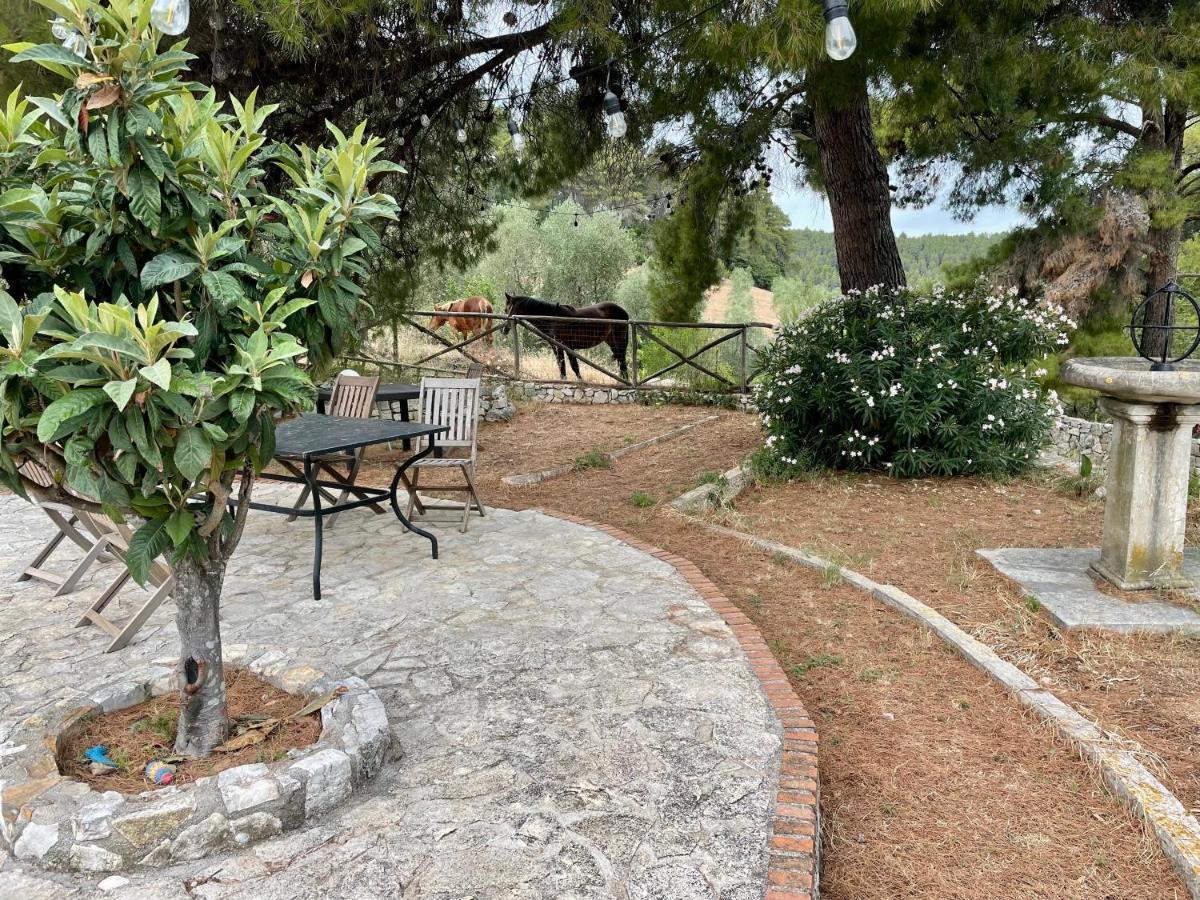 ויאסטה Novecento Country House מראה חיצוני תמונה